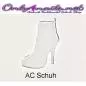 Preview: Acrylelement Schuh