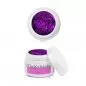 Preview: Lilia Glam 5ml Farbgel Lila Preview: Lilia Glam 5ml Farbgel Lila