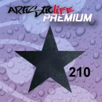 ArtisticLife Premium Kandy 10ml NR:210 Schwarz