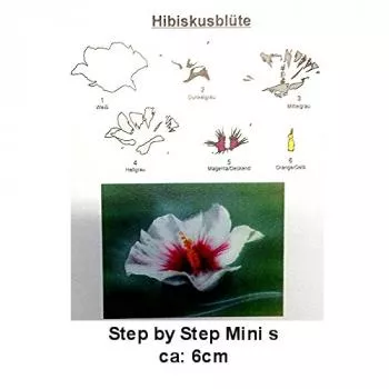 Airbrush Step by Step mini Schablone Hibiskus