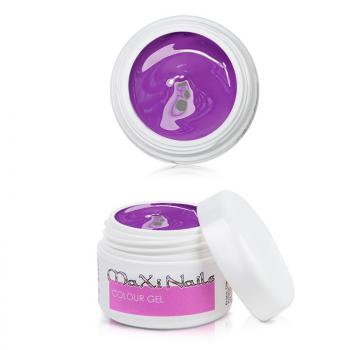 Preview: Farbgel Las Vegas 5 ml Lila