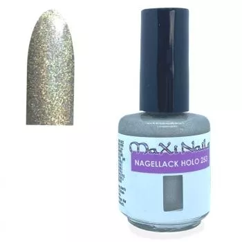 Holo Nagellack Silber 15ml