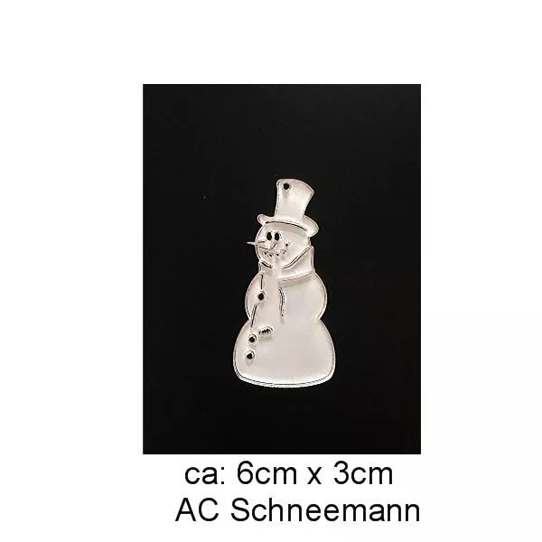 AC Schneemann