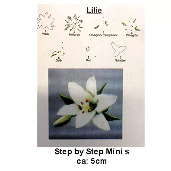 Airbrush Step by Step mini Schablone Lilie