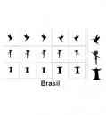 Nailart Schablone 15er Karte Brasil