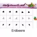 Nailart Schablone 15er Karte Erdbeere